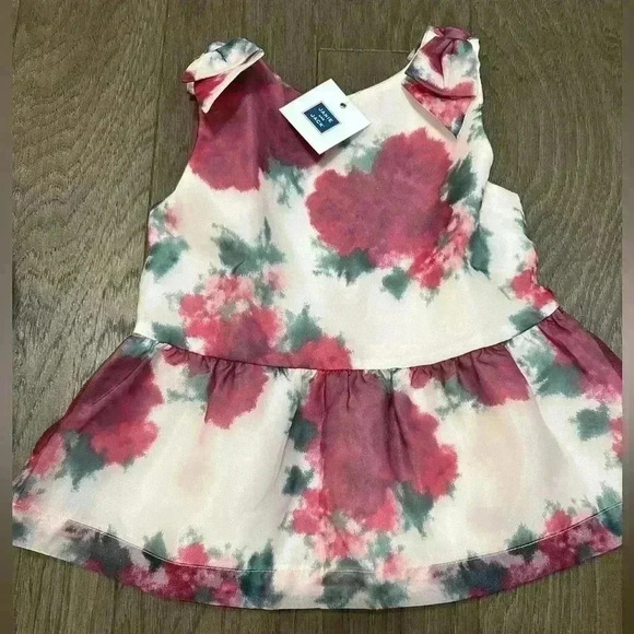 Janie & Jack Floral Organza Top - Size 6 Christmas Sleeveless Dressy Little Girl - Picture 3 of 6